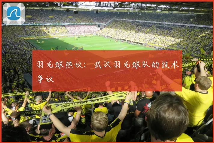 羽毛球热议：武汉羽毛球队的技术争议